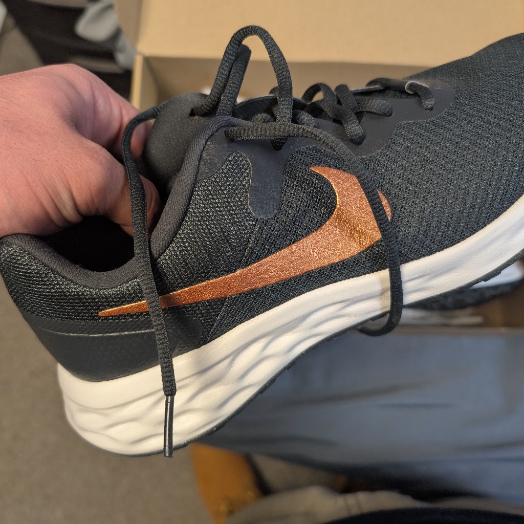 Nike Womens Revolution 6 Nn